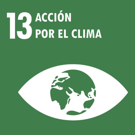 SDG 13 - Climate action